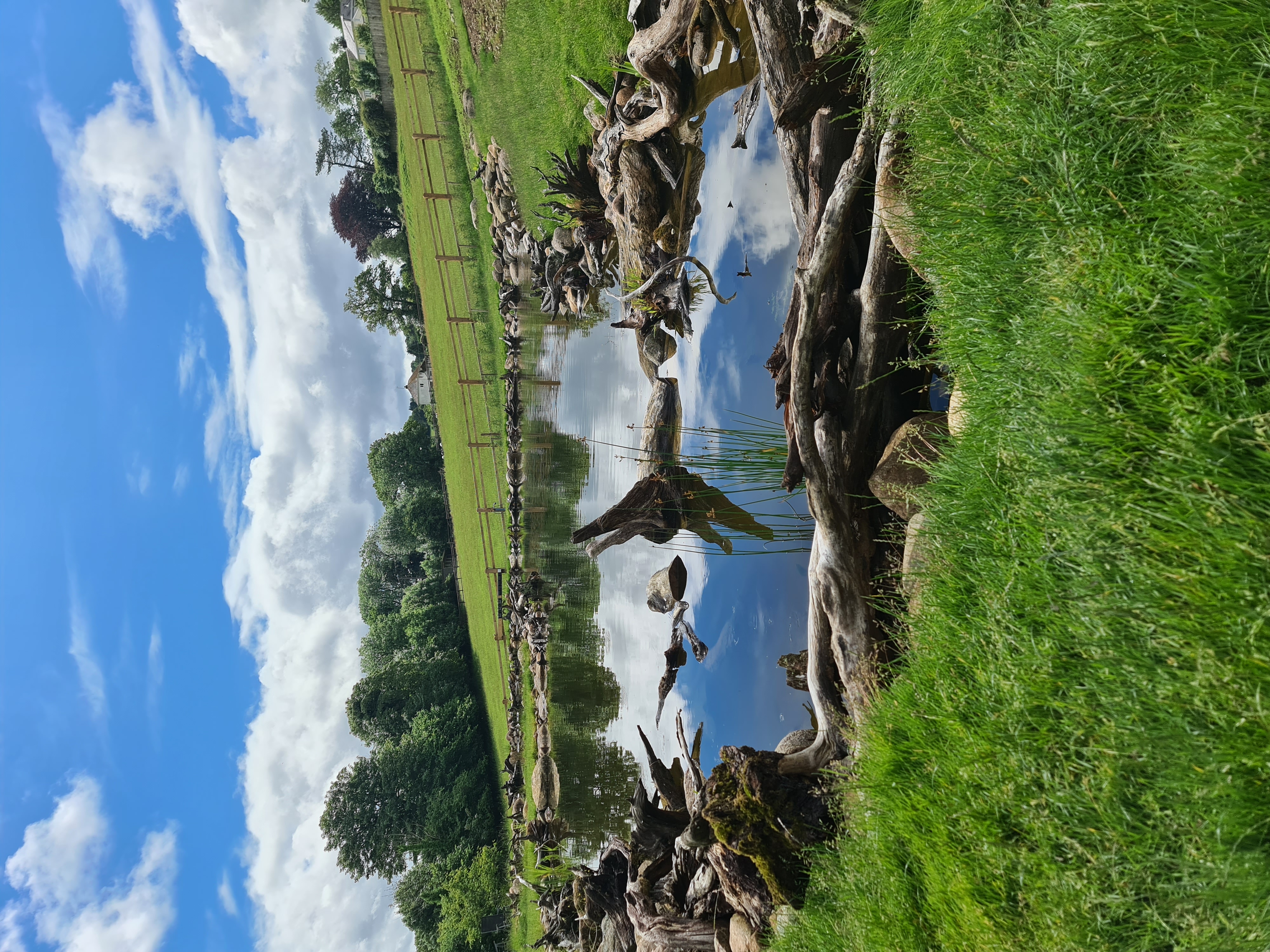 Large rural pond and surrounding land assessed by SAS Aquatics