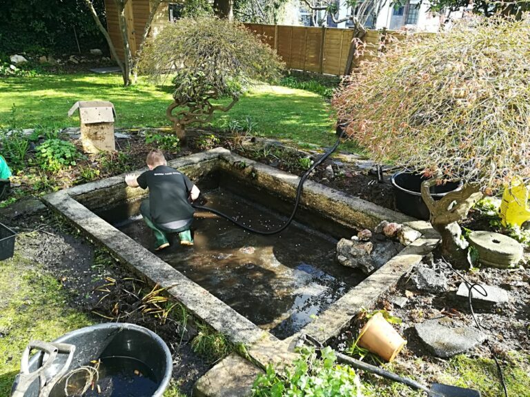 Pond Cleaning Service