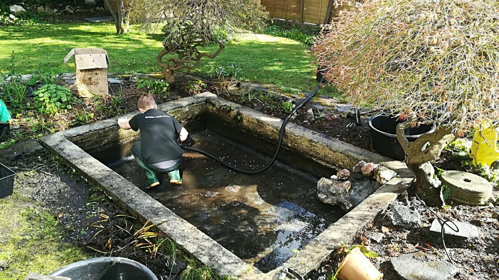 Pond Cleaning Service