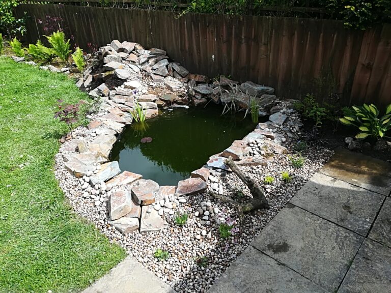 Dartmoor wildlife pond completed