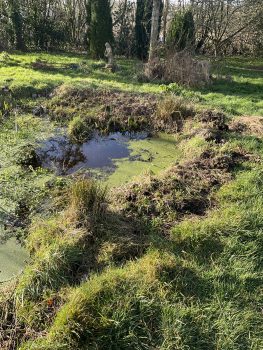 old pond needing refurbishment 