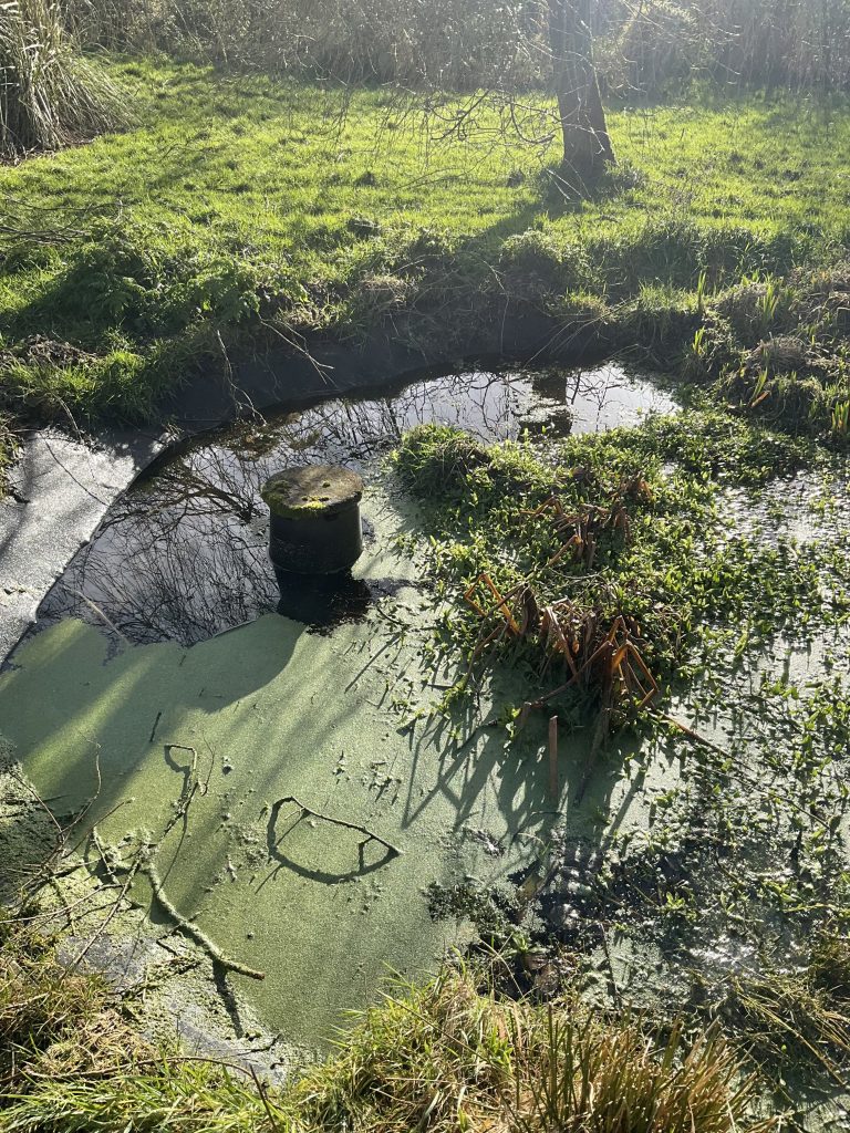 Leaking Pond Refurbishment 3