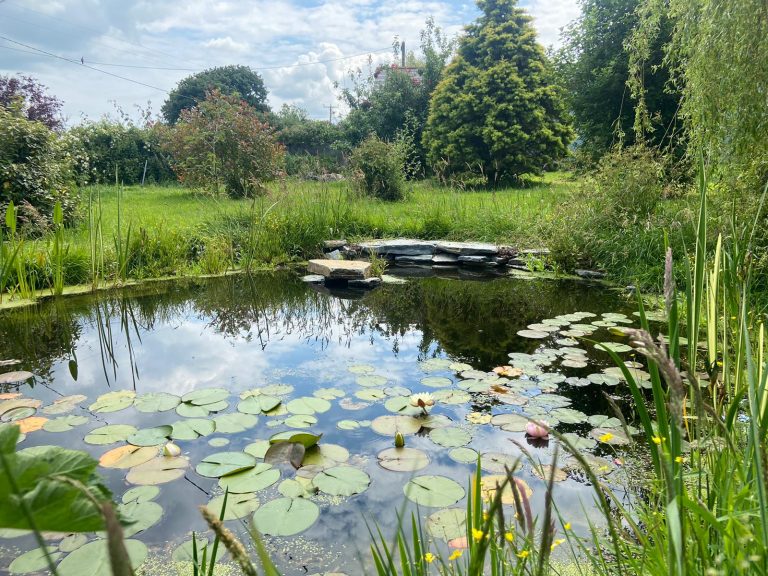 Wildlife Pond Services 1