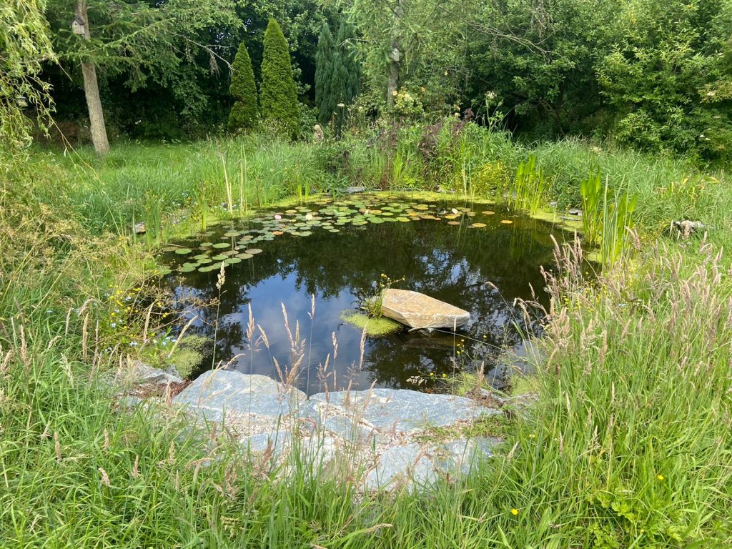 Leaking Pond Refurbishment 13