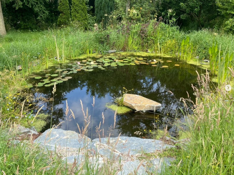 a wildlife pond in the south west with lily pads and slate built by sasaquatics