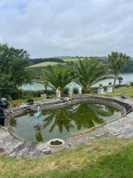 full pond clean service devon