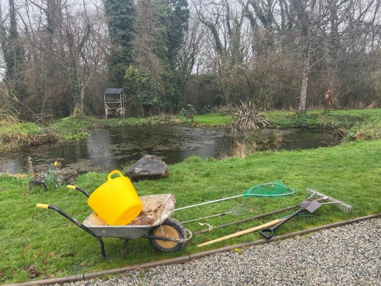 Sasaquatics team carrying out pond plant removal and vegetation management in Devon