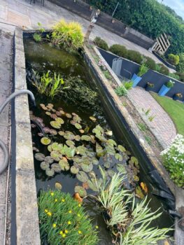 Wildlife pond desilting in Devon to restore depth and biodiversity
