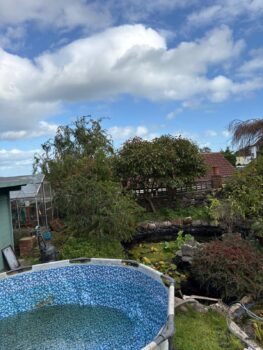 Pond desilting and restoration work in Devon by SAS Aquatics