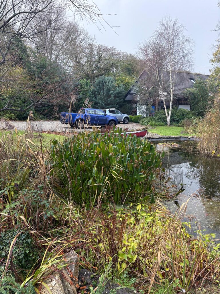Wildlife Pond Restoration Cornwall 3