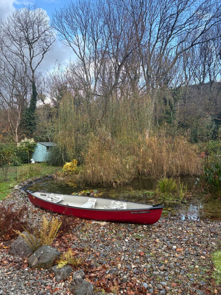 Wildlife Pond Restoration Cornwall 1
