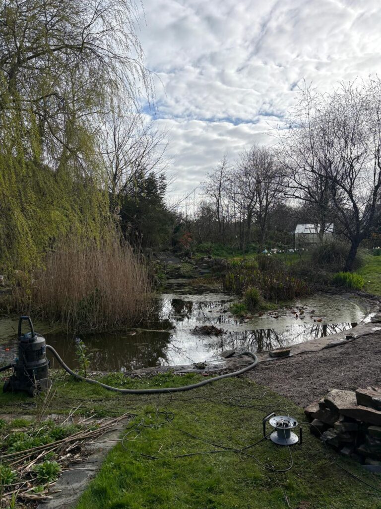 Wildlife Pond Restoration Cornwall 4