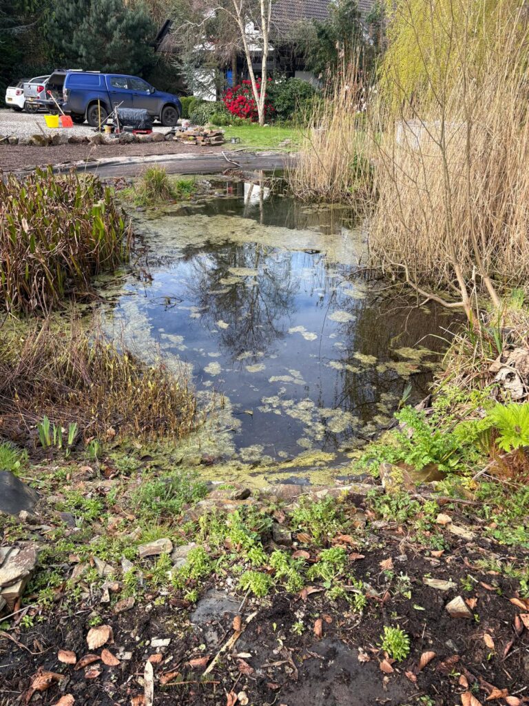 Wildlife Pond Restoration Cornwall 5