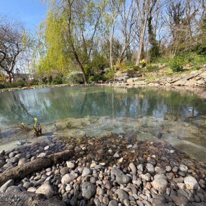 Wildlife Pond Restoration Cornwall 1