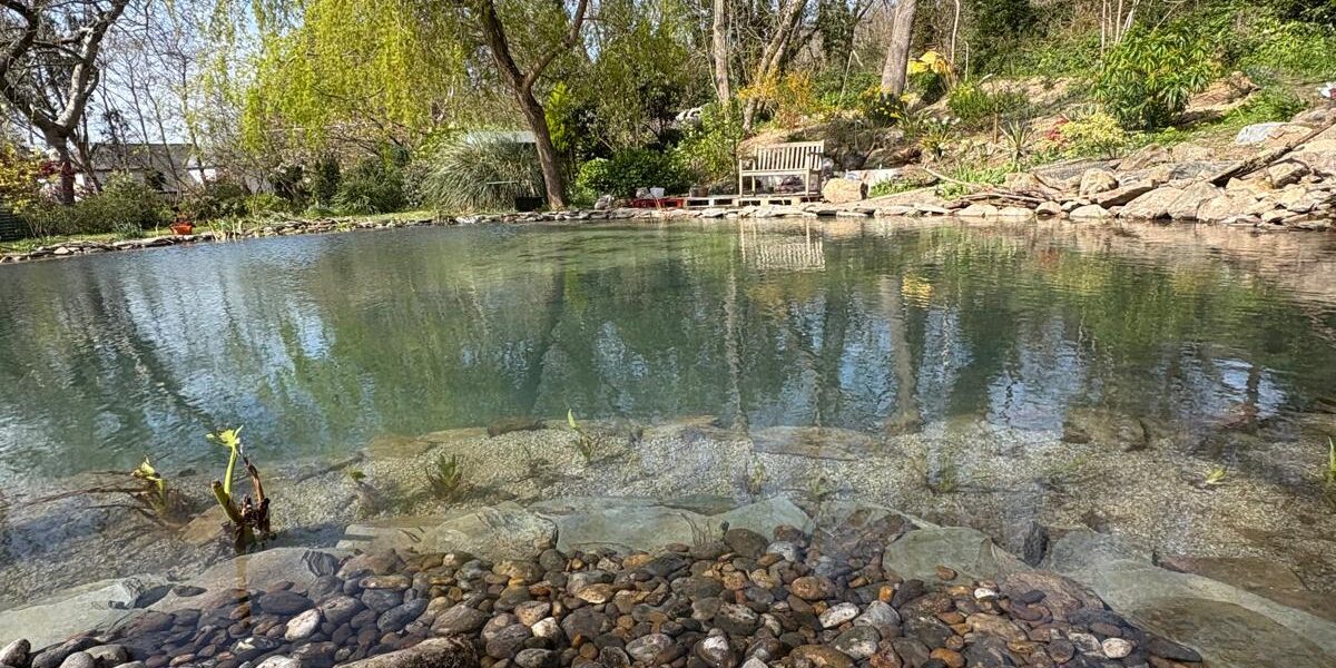 A completed landscaped wildlife pond with testimonial