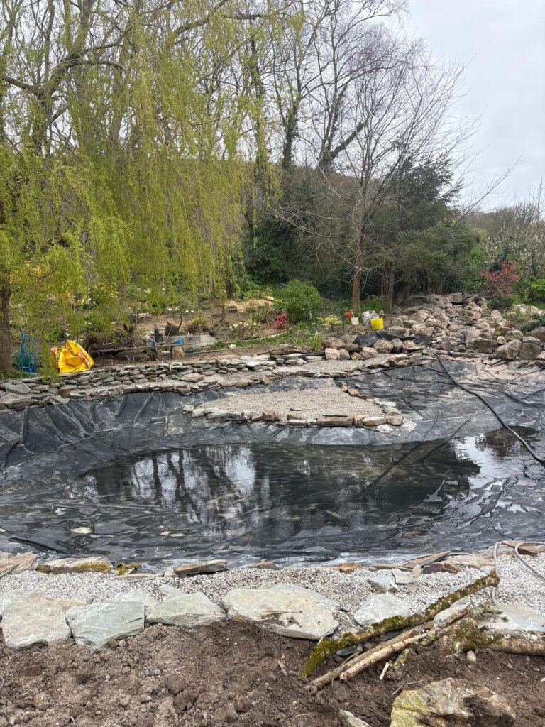 Construction of a naturalistic landscaped wildlife pond with planting zones and stone edging