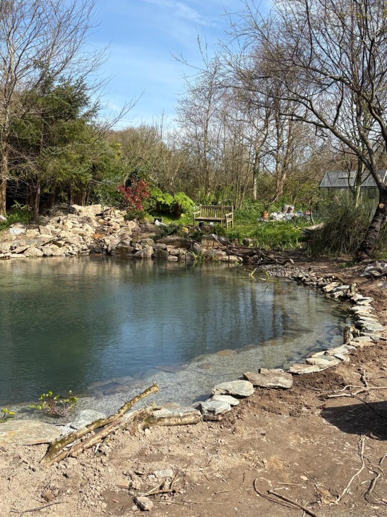 Finished landscaped wildlife pond with planting shelves and clean water