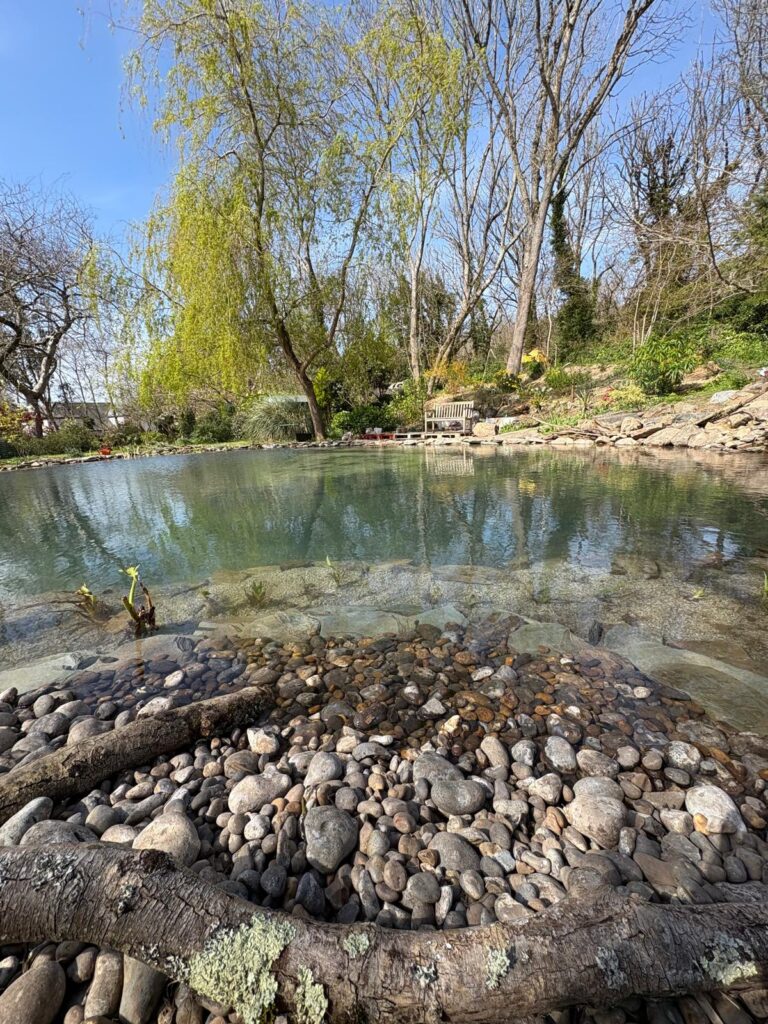 A completed landscaped wildlife pond with testimonial