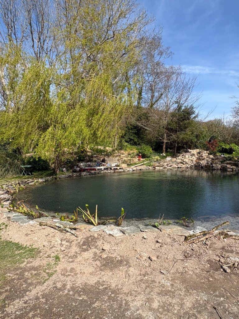 Natural swimming pond style wildlife pond after full restoration