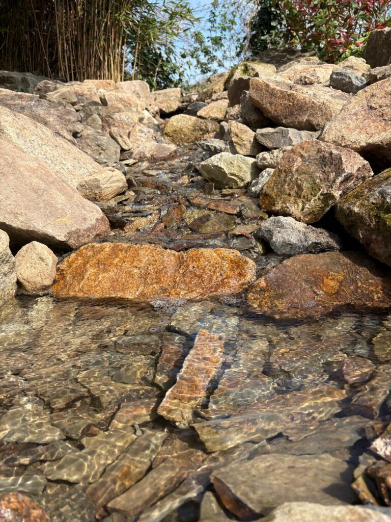 High quality wildlife pond construction with clear water and integrated landscaping