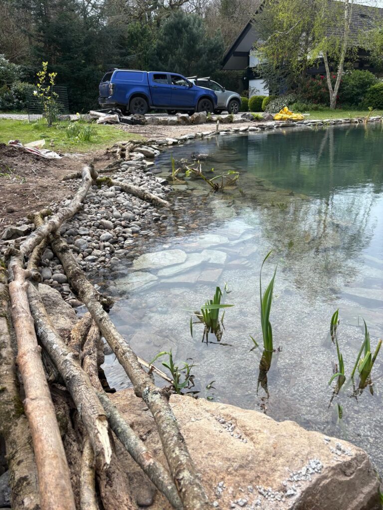 Completed pond rebuild showing naturalistic design and planting areas