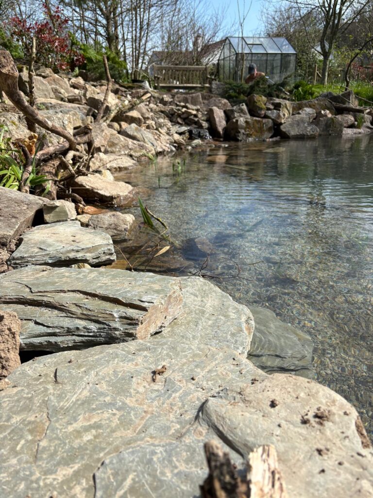 Clear water wildlife pond with natural stone edging and waterfall feature