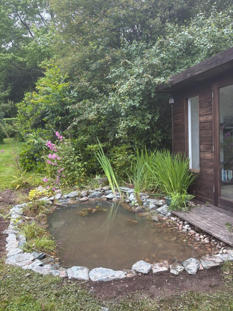 Wildlife Pond Restoration & Relining in Bovey Tracey, Devon 10