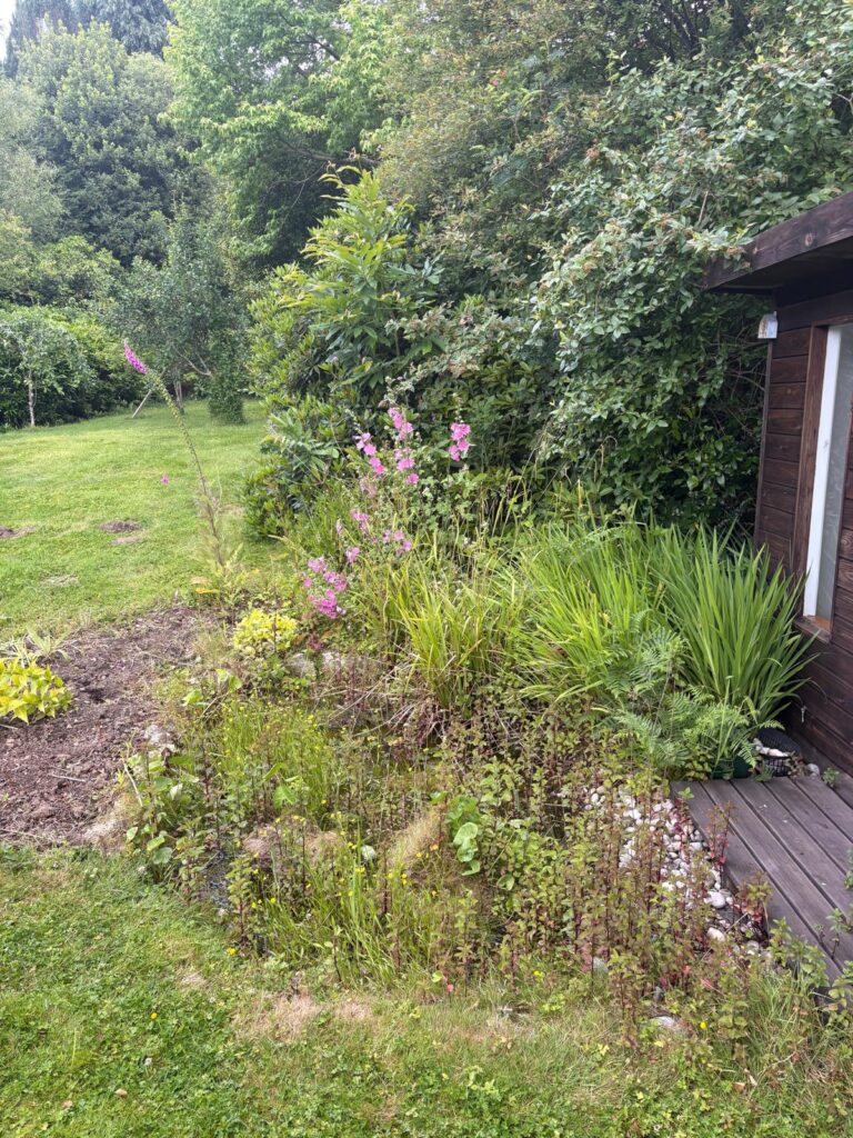 Wildlife Pond Restoration & Relining in Bovey Tracey, Devon 2