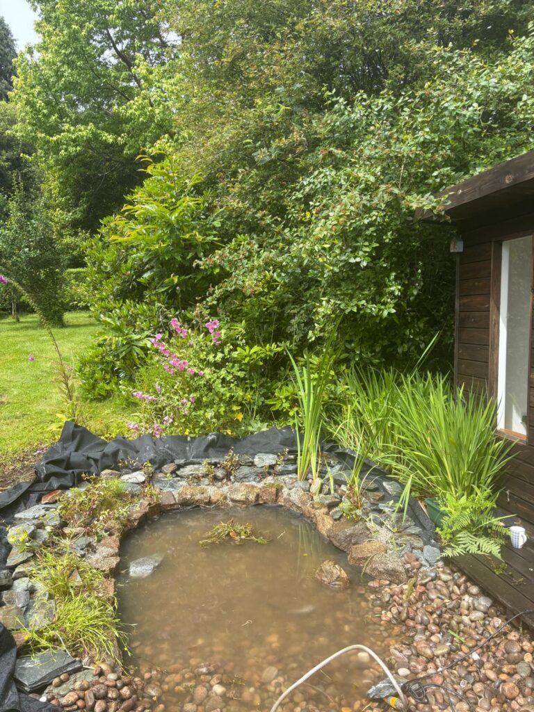 Wildlife Pond Restoration & Relining in Bovey Tracey, Devon 7