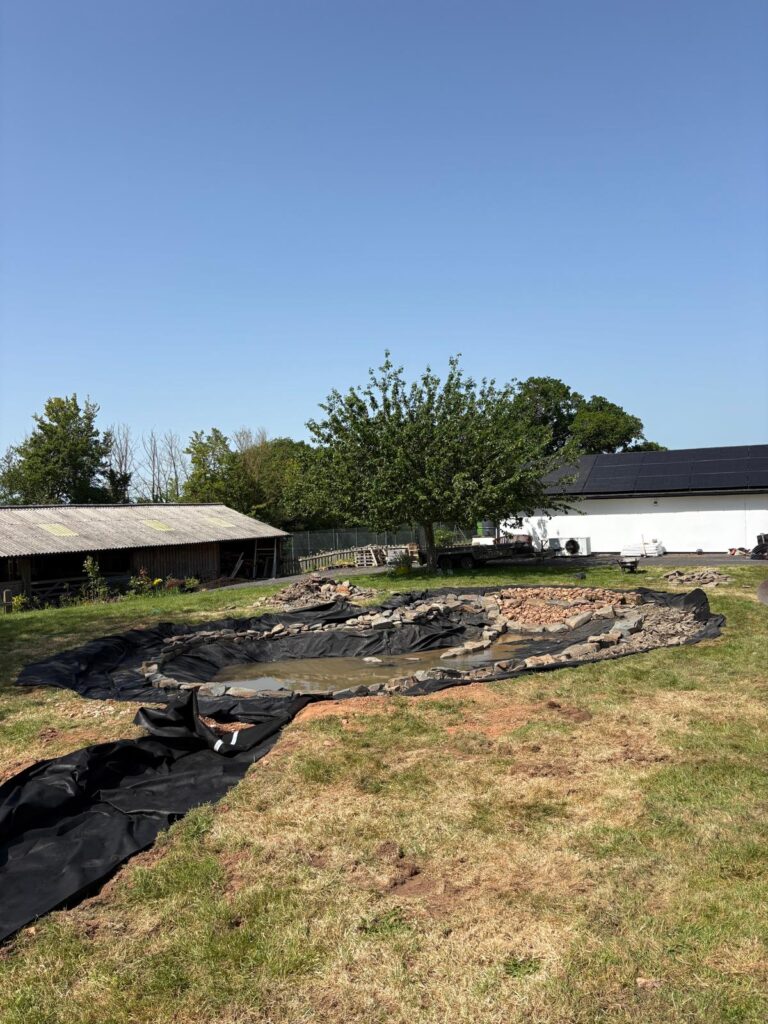 Wildlife pond construction showing liner, stone edging and shaping work