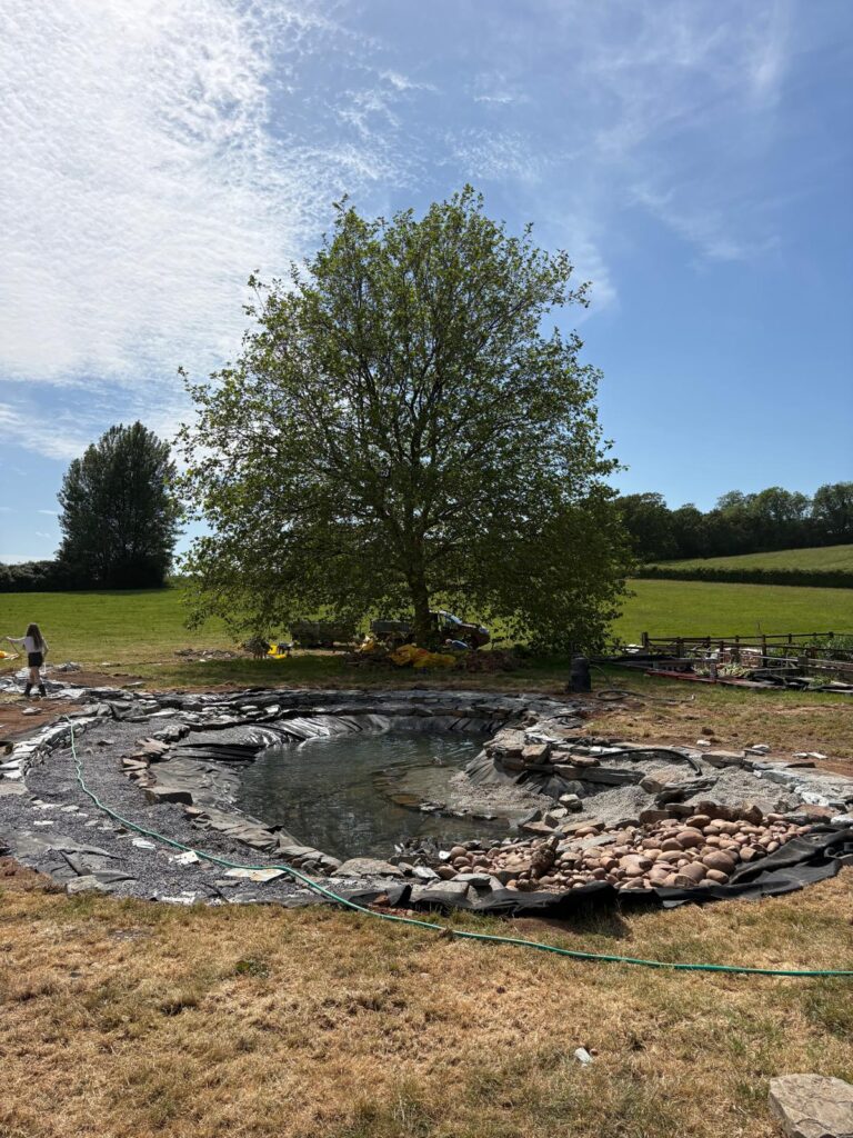 Wildlife-friendly pond edge with cobbles, stones and marginal plants