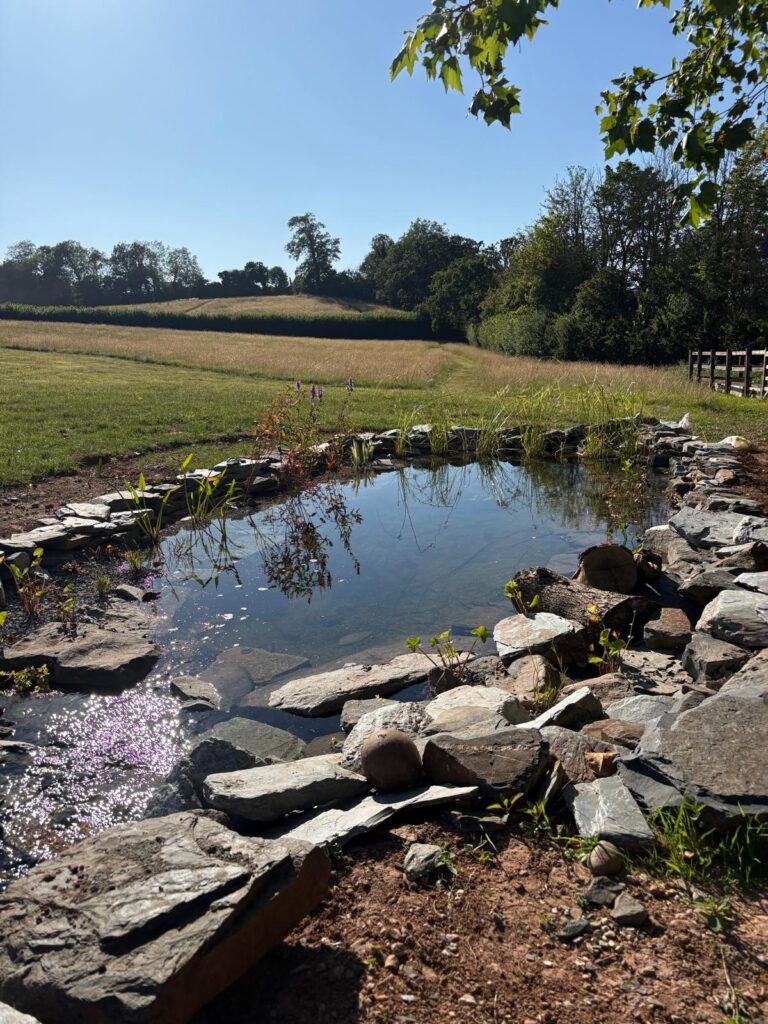 Lower wildlife pond connected by a natural stream channel