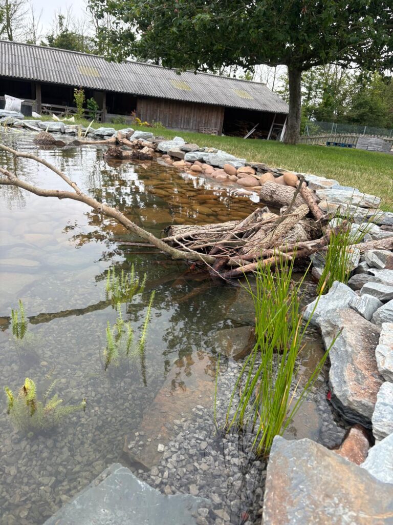 Natural stone edge and wood detail on a newly built wildlife pond