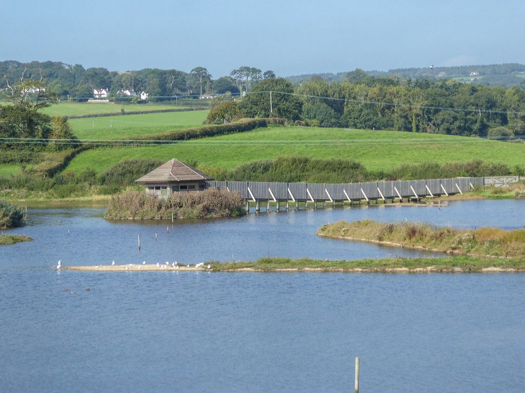Wildlife observation hide and boardwalk overlooking Black Hole Marsh at Seaton Wetlands