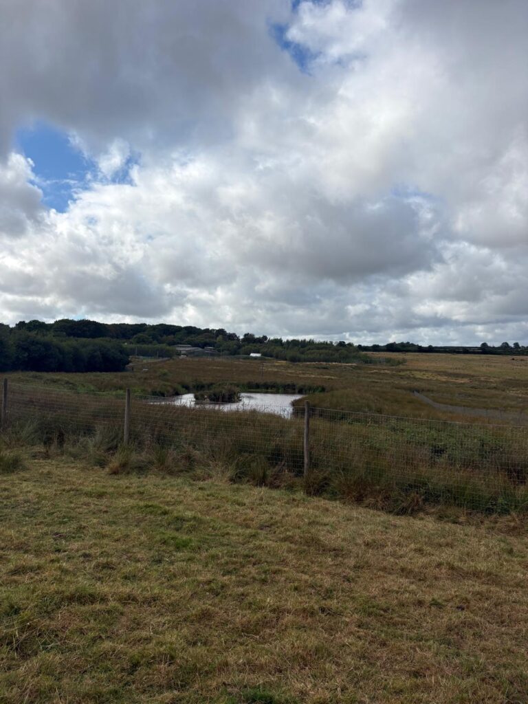 Rewilding in Action: If Not Now, When? 2026 at Rewilding Coombeshead 2