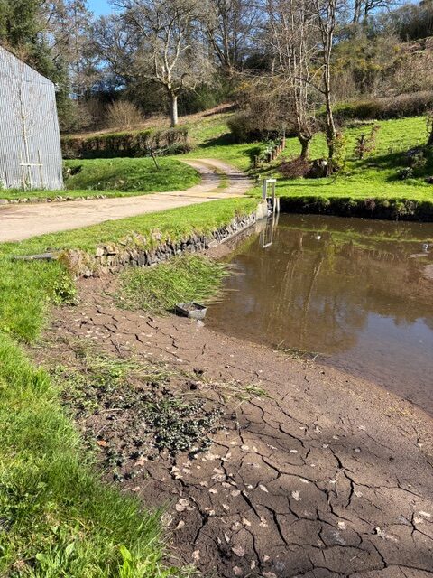 Before the works: exposed clay bed and low water level at a historic North Devon pond