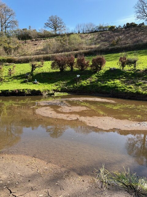 Before the works: silted pond basin and exposed banks at a private North Devon estate