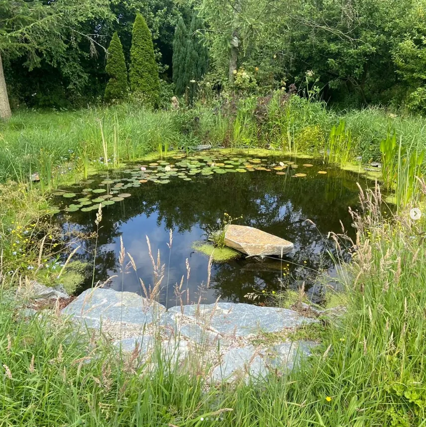 Natural wildlife pond with lily pads and slate edging created by SAS Aquatics