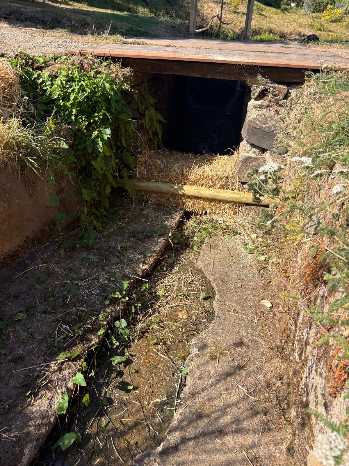 Pollution-prevention runoff controls beside a North Devon watercourse