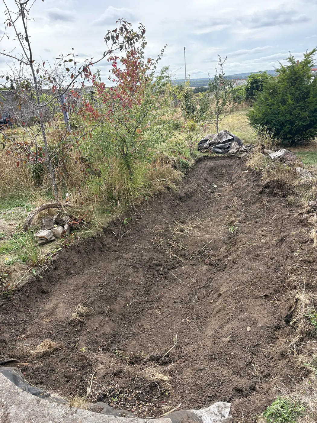 Excavated pond after the failed liner was removed