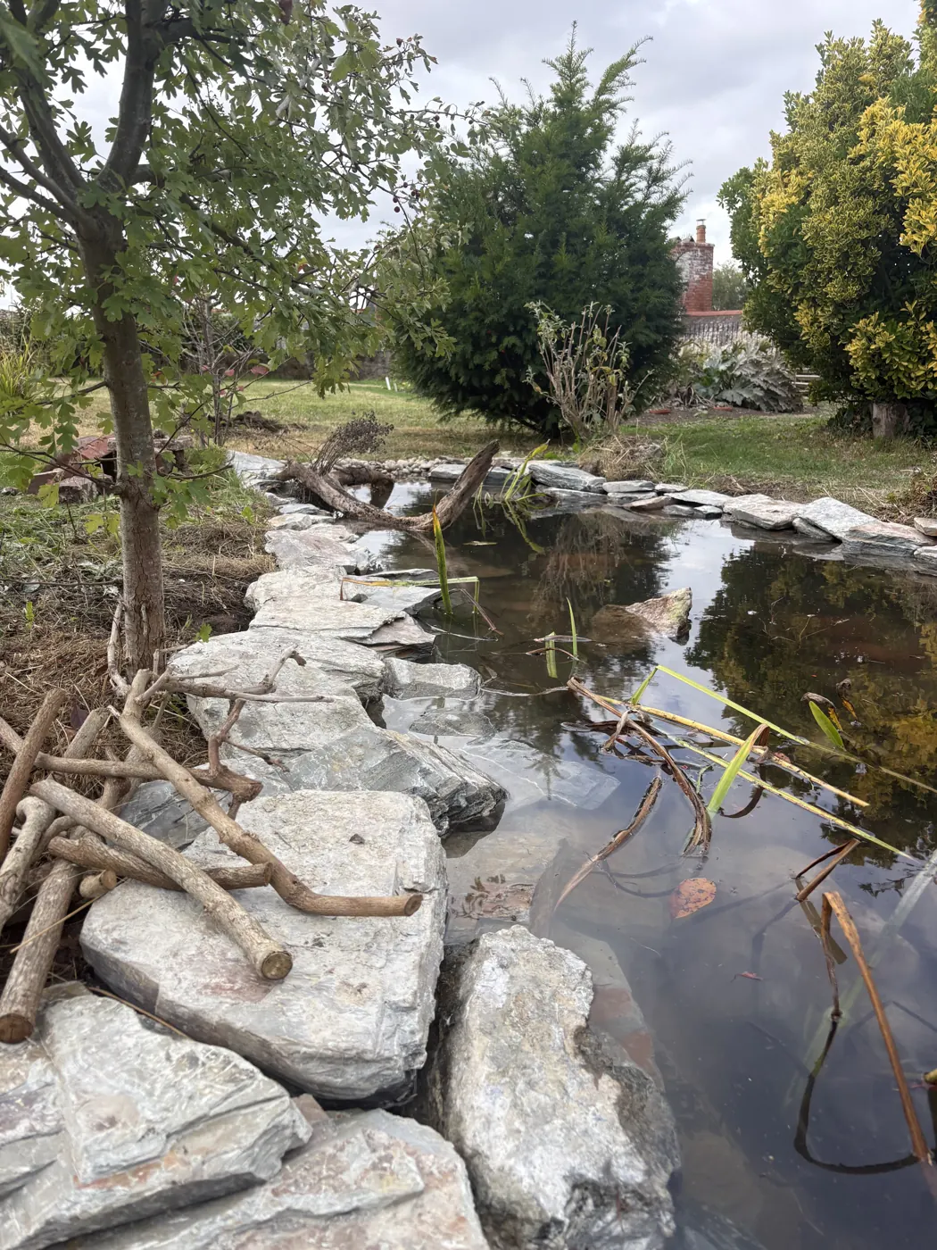 Close view of natural stone and branches at the restored pond margin